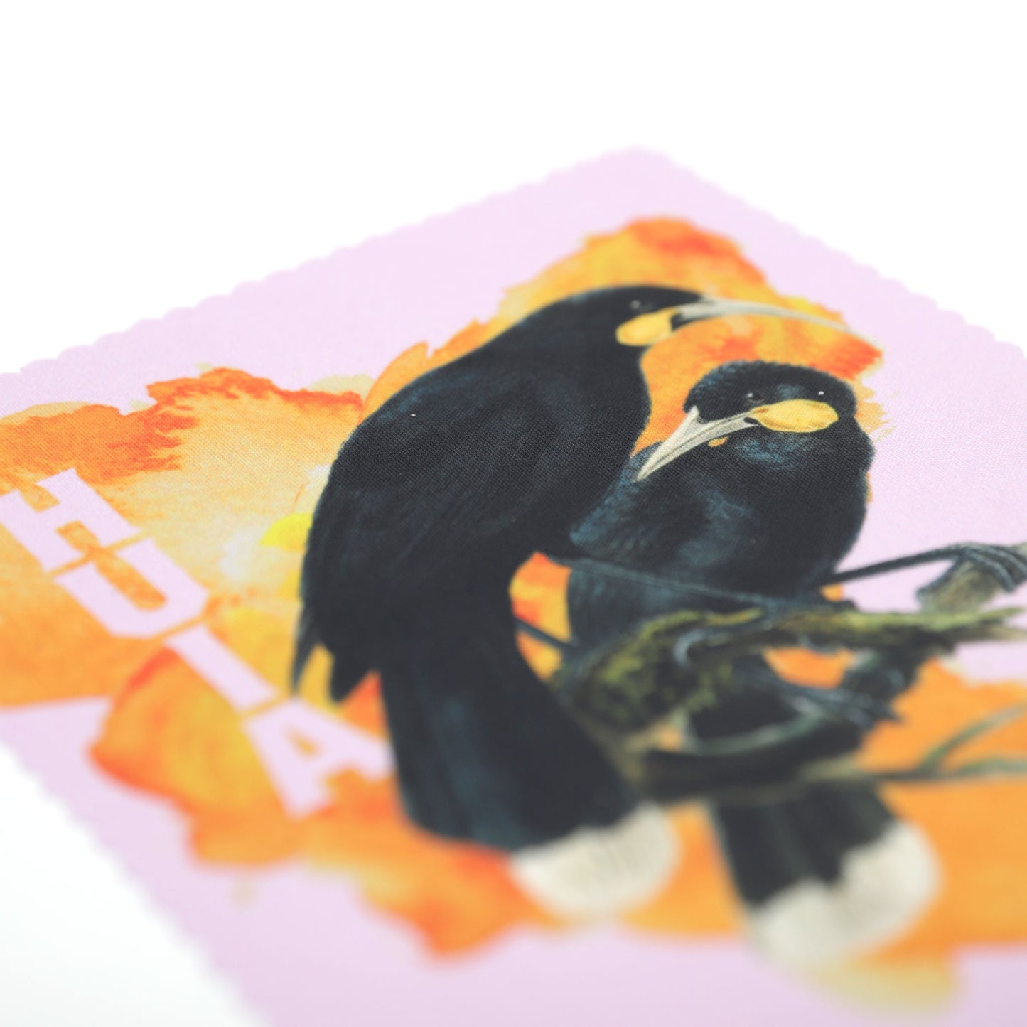 Te Āmiki - Native Birds Lens Cloth